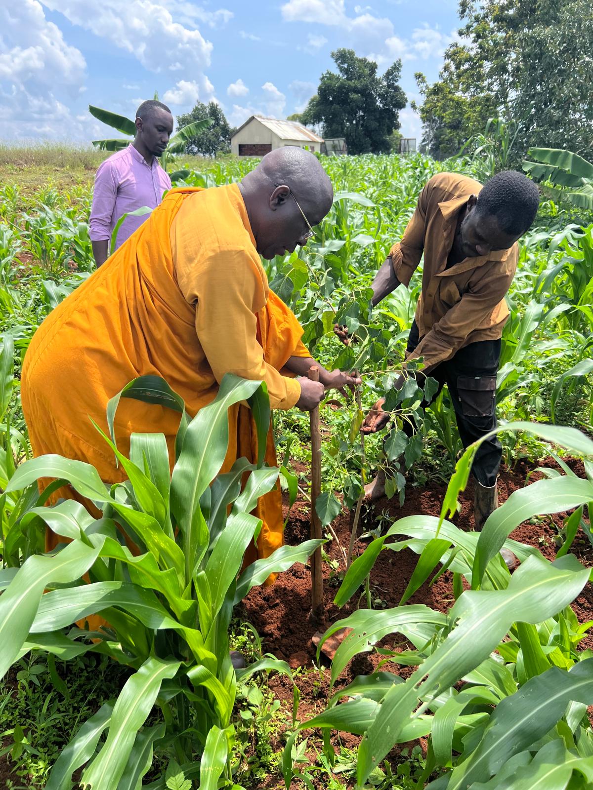 Bodhi Tree Planting Ceremony – Mpigi | April 3rd, 2026