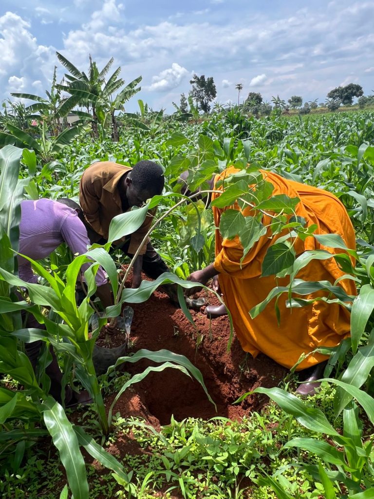 Ven. Dr. Kaboggoza Buddharakkhita led a Bodhi tree planting ceremony at Mpigi.