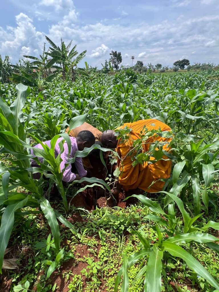 Ven. Dr. Kaboggoza Buddharakkhita during the Bodhi Tree Planting